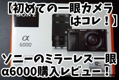 【ミラーレスα6000】赤ちゃん撮影用に単焦点レンズSEL35F18を購入！公園デビューでも使ってみた！