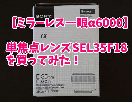 【ミラーレスα6000】赤ちゃん撮影用に単焦点レンズSEL35F18を購入！公園デビューでも使ってみた！