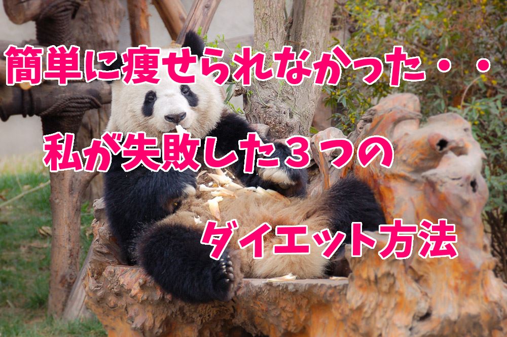 【ダイエット失敗】簡単に痩せられる!で始めた3つのダイエット方法をまとめてみた